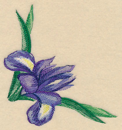 Iris Corner in Watercolor - Image 4
