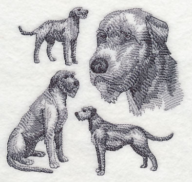 Irish Wolfhound Sketch - Image 3