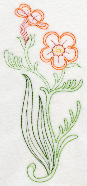 Jamesbrittenia Aurantiaca (Vintage) - Image 5