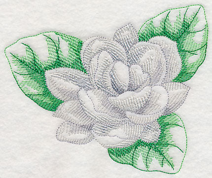 Jasmine Beauty - Image 4