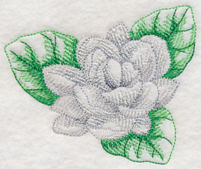 Jasmine Beauty - Image 5