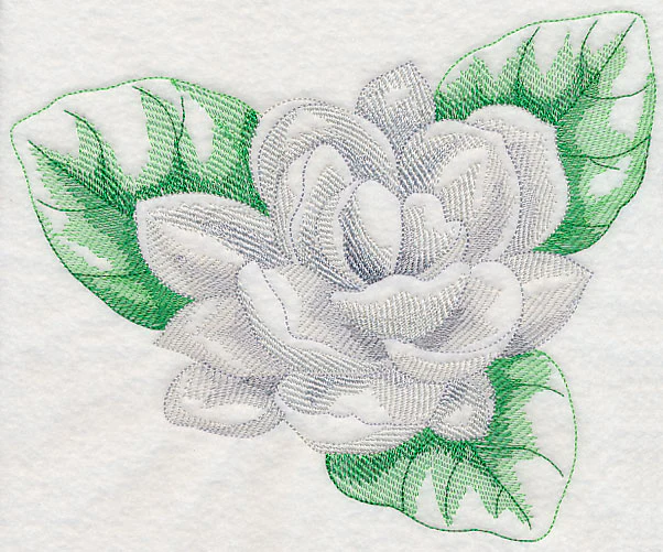 Jasmine Beauty - Image 6