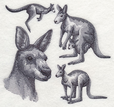 Kangaroo Sketch - Image 2