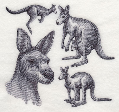Kangaroo Sketch - Image 3