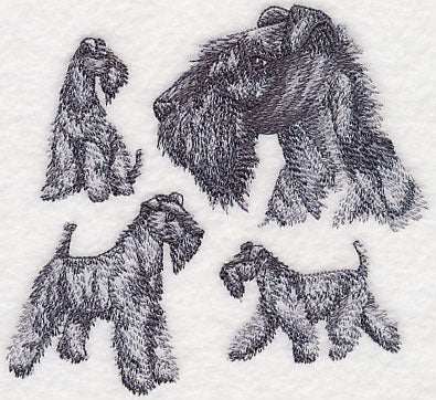 Kerry Blue Terrier Sketch - Image 3