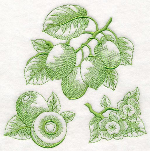Kiwi Botanical (Toile) - Image 2