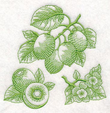 Kiwi Botanical (Toile) - Image 4