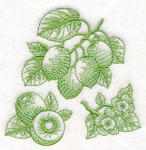 Kiwi Botanical (Toile) - Image 5