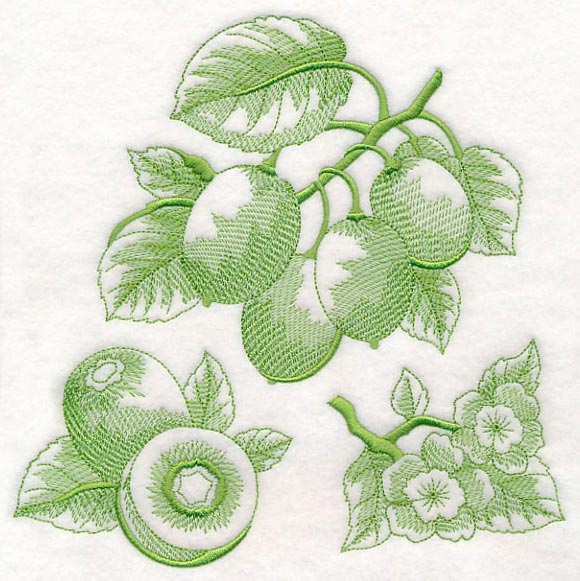 Kiwi Botanical (Toile) - Image 6