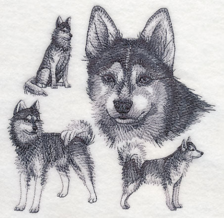 Klee Kai Sketch - Image 3