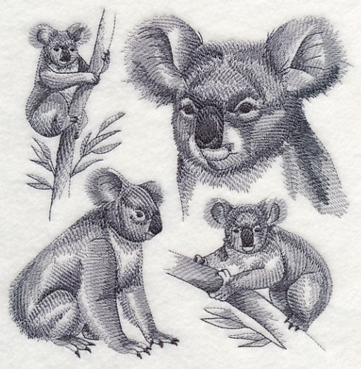 Koala Sketch - Image 2