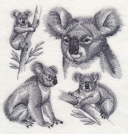 Koala Sketch - Image 3