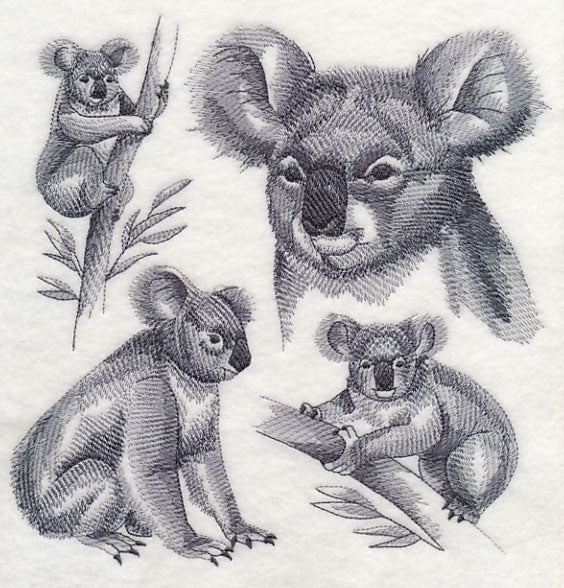 Koala Sketch - Image 5
