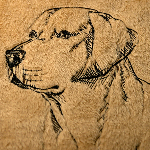 Labrador Retriever Portrait Etching - Image 8