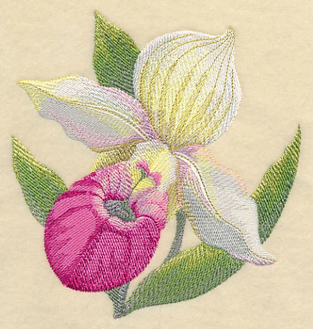 Lady Slipper Bloom in Watercolor - Image 4