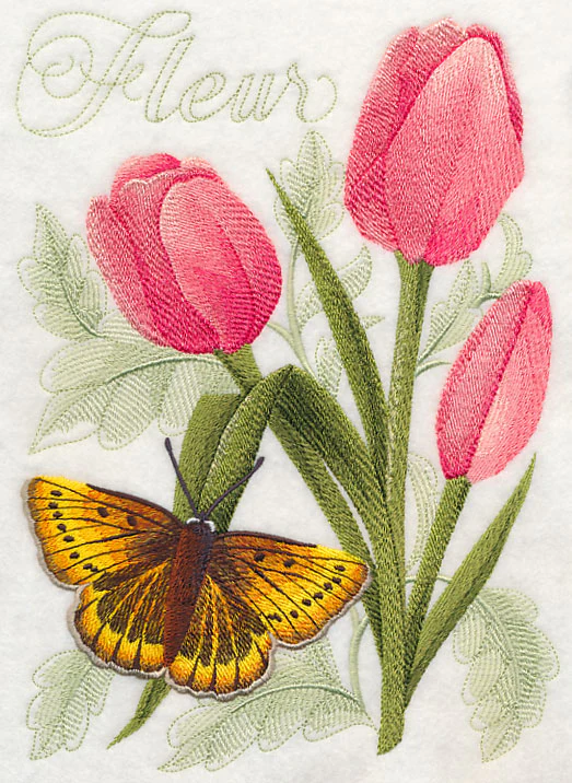 Large Copper Butterfly and Tulips