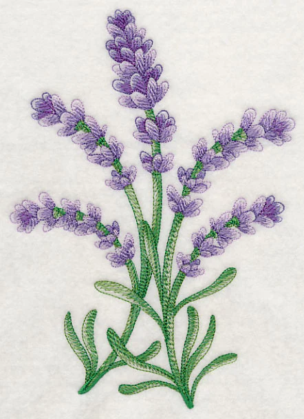 Lavish Lavender 2 - Image 4