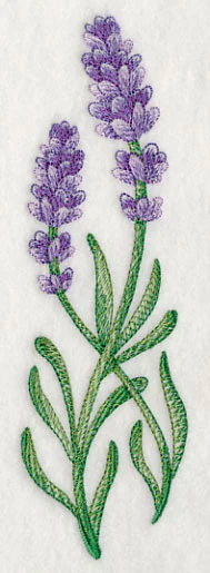 Lavish Lavender Spray - Image 2