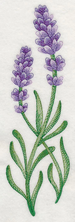 Lavish Lavender Spray - Image 4