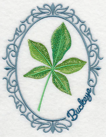 Leaf Cameo - Buckeye - Image 6