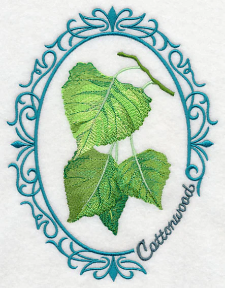 Leaf Cameo - Cottonwood - Image 4