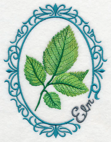 Leaf Cameo - Elm - Image 6