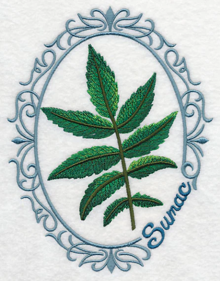 Leaf Cameo - Sumac - Image 4