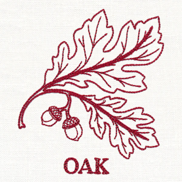 Leafy Botanicals - Oak - Image 3