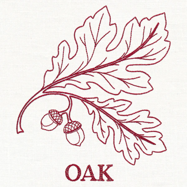 Leafy Botanicals - Oak - Image 4