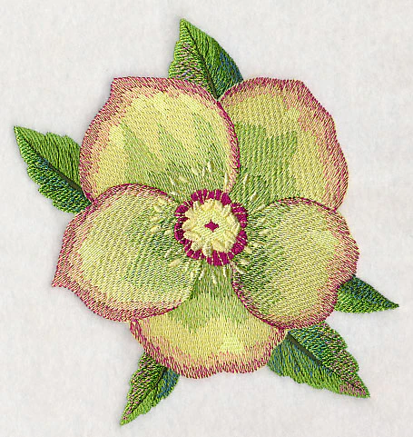 Lenten Rose Bloom in Watercolor - Image 4
