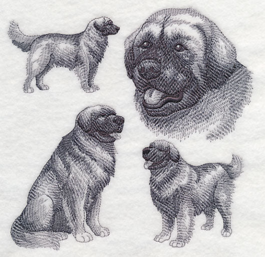 Leonberger Sketch - Image 2