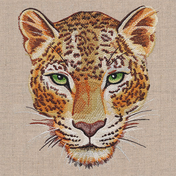 Leopard Portrait - Image 4