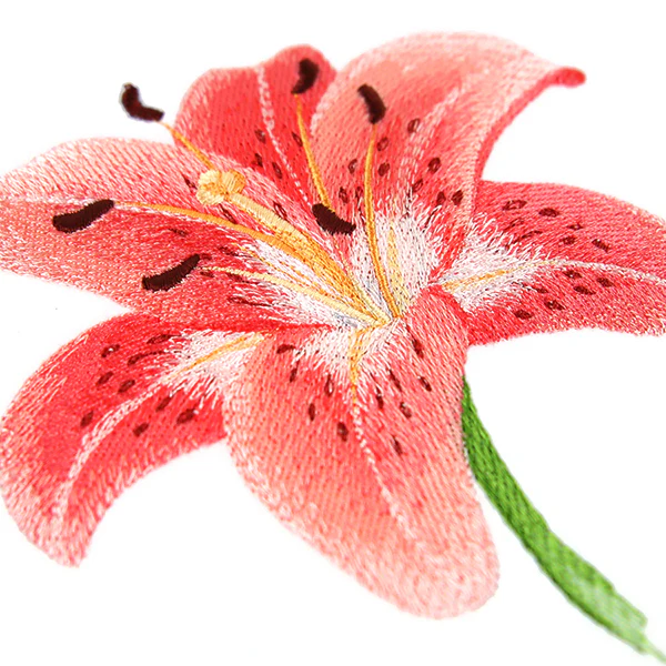 Lily in Bloom - Image 2