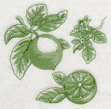 Lime Botanical (Toile) - Image 4