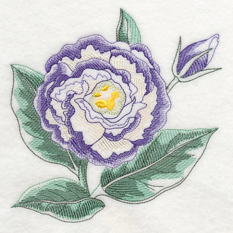 Lisianthus Beauty - Image 3