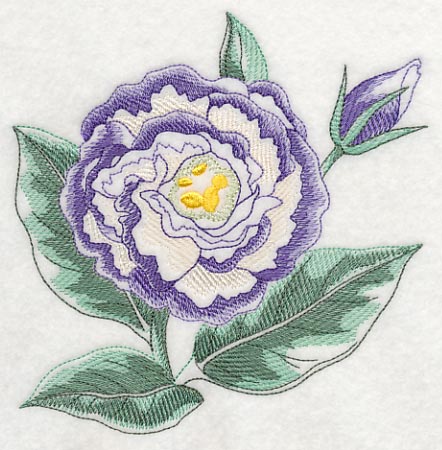Lisianthus Beauty - Image 4