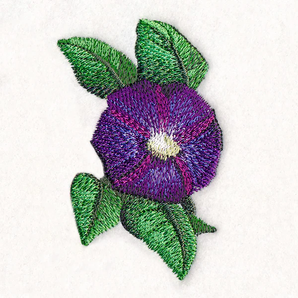 Lively Morning Glory - Image 2