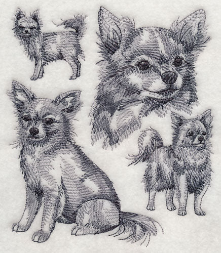 Long-haired Chihuahua Sketch - Image 2