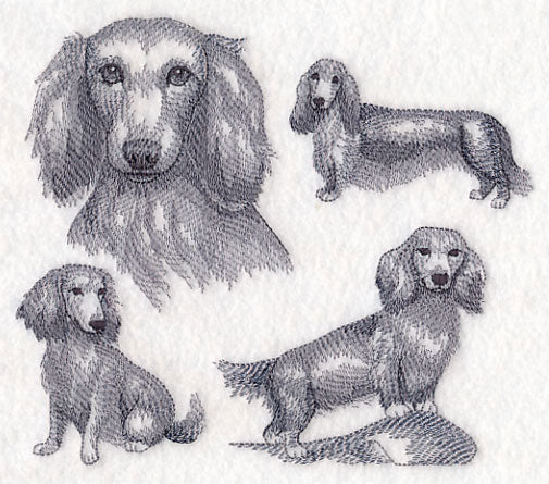 Long-Haired Wiener Dog Sketch - Image 2