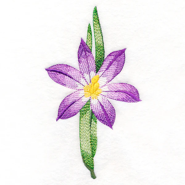 Long-Stemmed Iris
