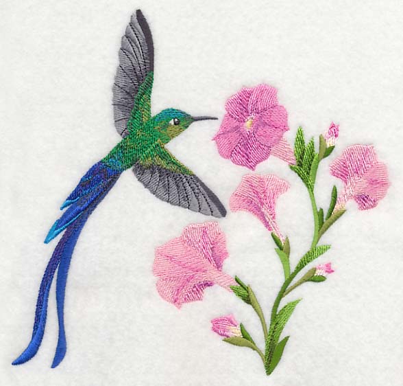 Long-tail Sylph Hummingbird - Image 5