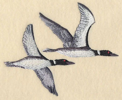 Loons in Flight - Image 3