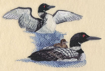 Loons on the Lake - Image 3