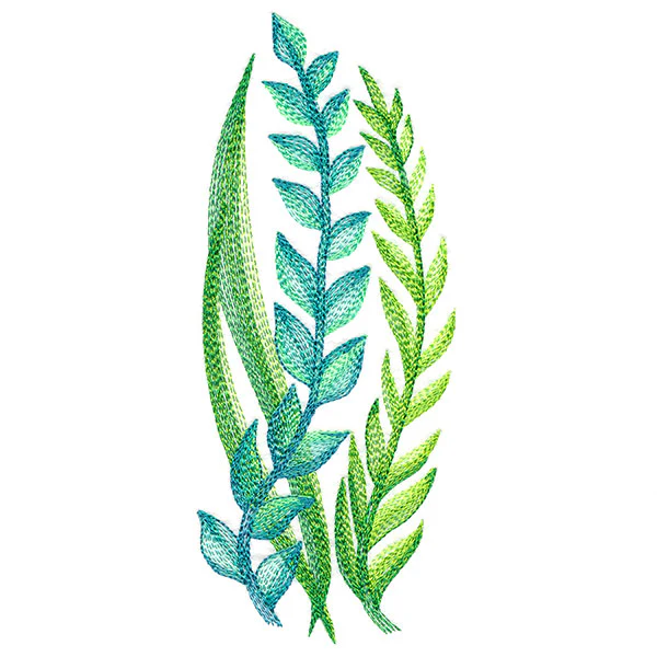 Lovely Ferns and Botanicals - Image 4