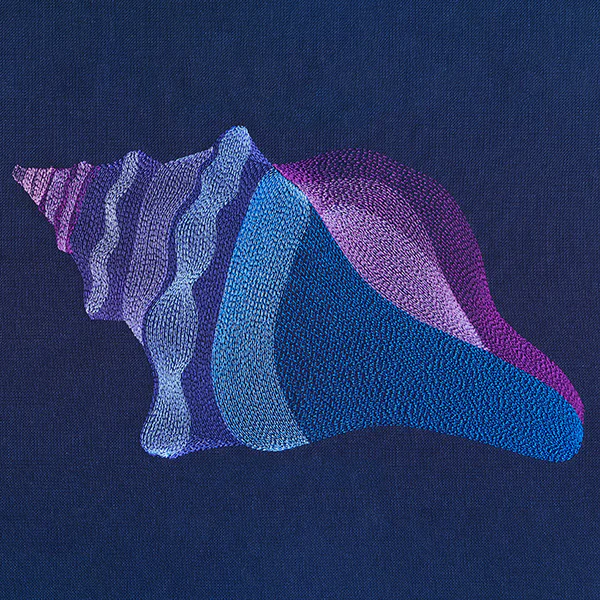 Lovely Lightning Whelk Shell