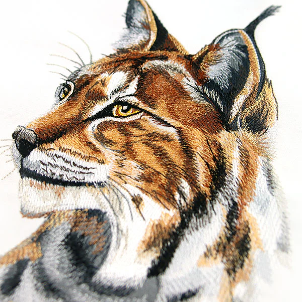 Lynx Portrait - Image 2