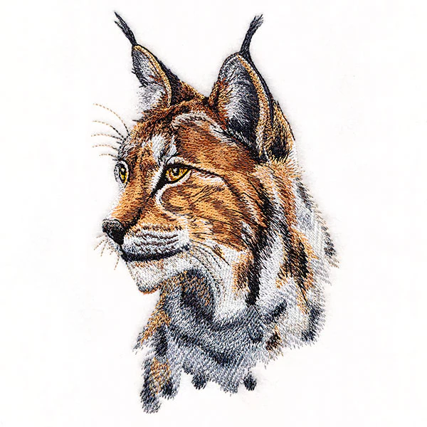 Lynx Portrait - Image 7