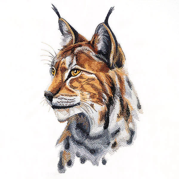 Lynx Portrait - Image 9