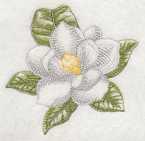 Magnolia Beauty - Image 5