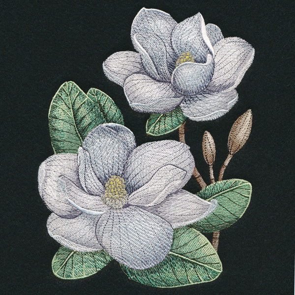 Magnolia Blooms - Image 3